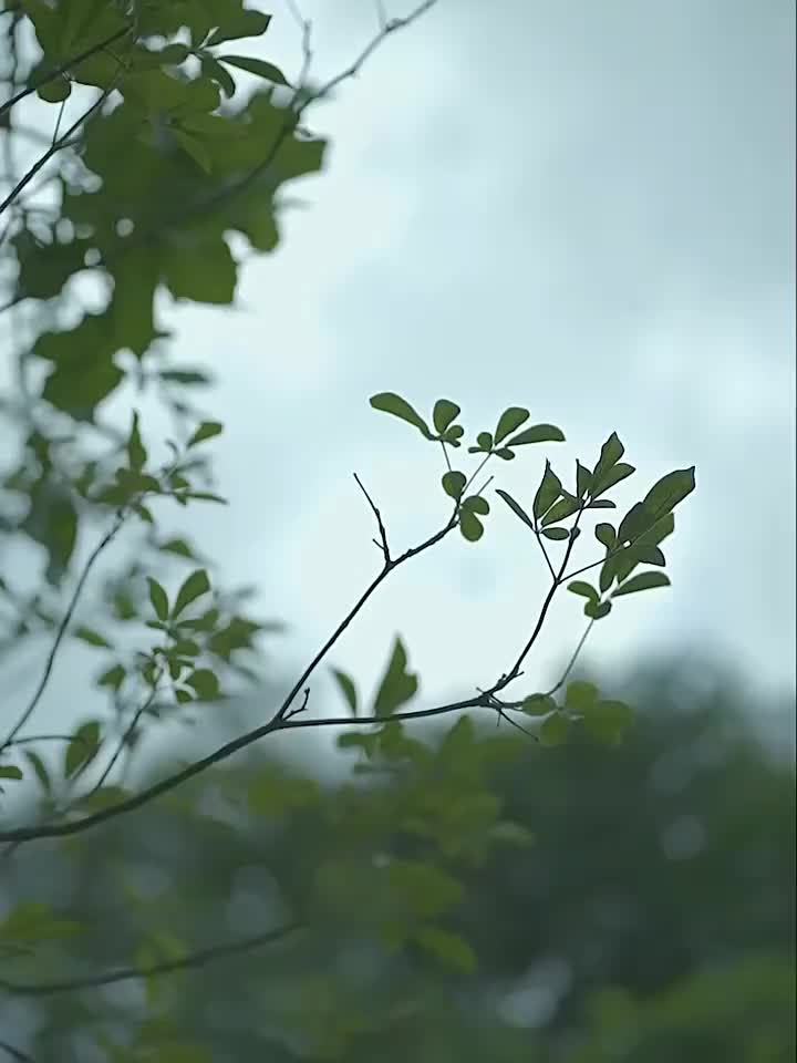 1pc Large Portable Outdoor Camping Picnic Blanket - High Quality & Heavy-Duty All-Season Thickened -like Texture with Blue\u002FBeige\u002FRed\u002FBlack\u002FWhite\u002FGray\u002FOrange\u002FTeal Patterns, Lightweight & Compact for Hiking, Beach, BBQ, Pa