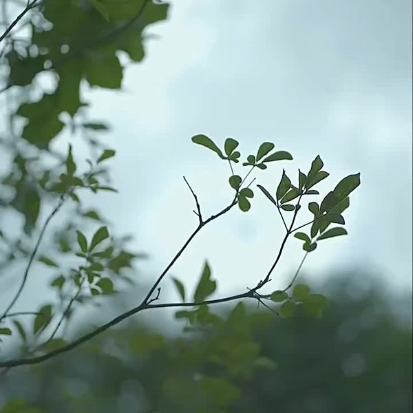 1pc Large Portable Outdoor Camping Picnic Blanket - High Quality & Heavy-Duty All-Season Thickened -like Texture with Blue\u002FBeige\u002FRed\u002FBlack\u002FWhite\u002FGray\u002FOrange\u002FTeal Patterns, Lightweight & Compact for Hiking, Beach, BBQ, Pa