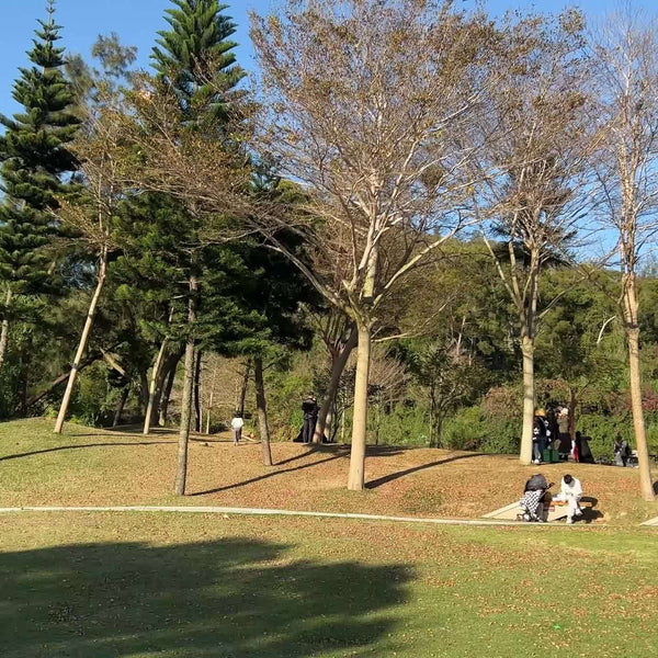 Picnic Basket Backpack With A Free Cashmere Blanket, Suitable For 2-4 People. Features An Insulated, Leak-proof, And Cooler Compartment, Wine Rack, Blanket, And Cutlery Set. A Great Winter Outing Item, Christmas Gift, New Year'S Gift, Couple'S Gift